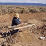 Screening for Oregon sunstone