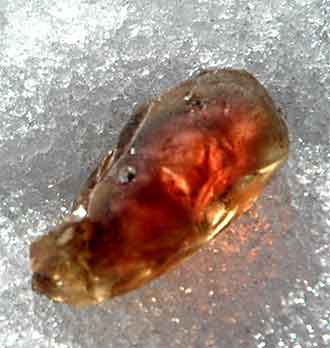 sunstone_in_snow_med