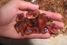 sunstone.reds.in.hand.2005.chop